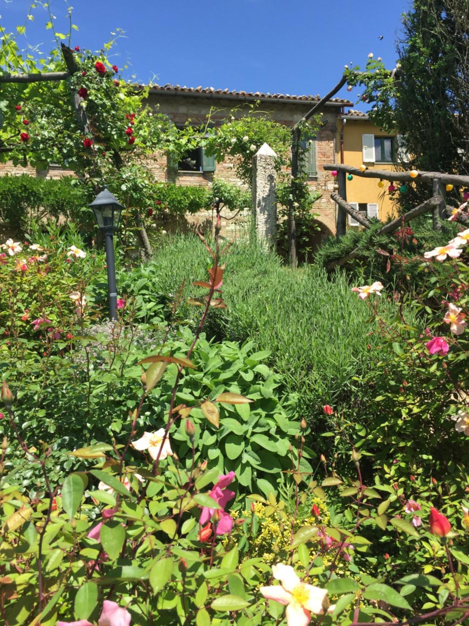 Villa Il Broglino à Todi Extérieur photo