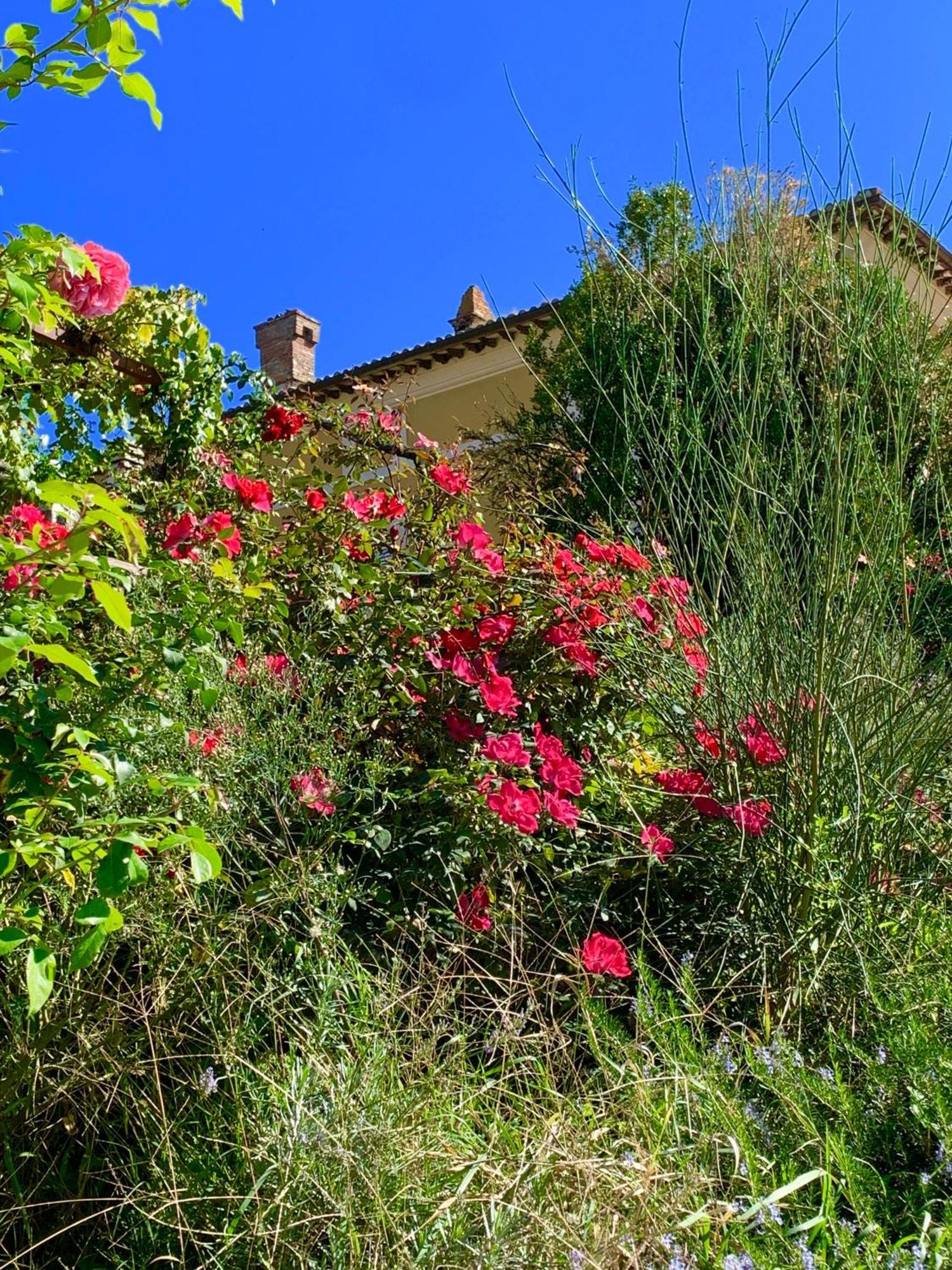 Villa Il Broglino à Todi Extérieur photo