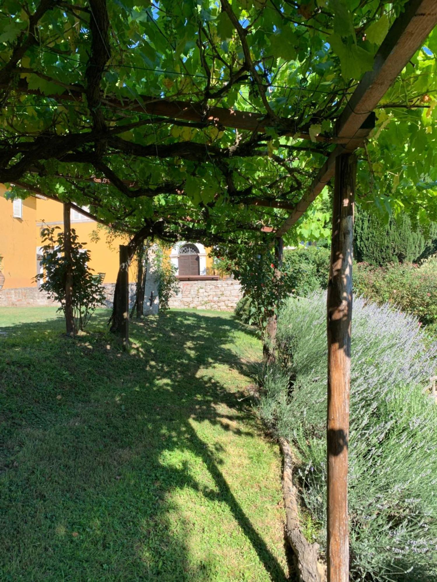 Villa Il Broglino à Todi Extérieur photo