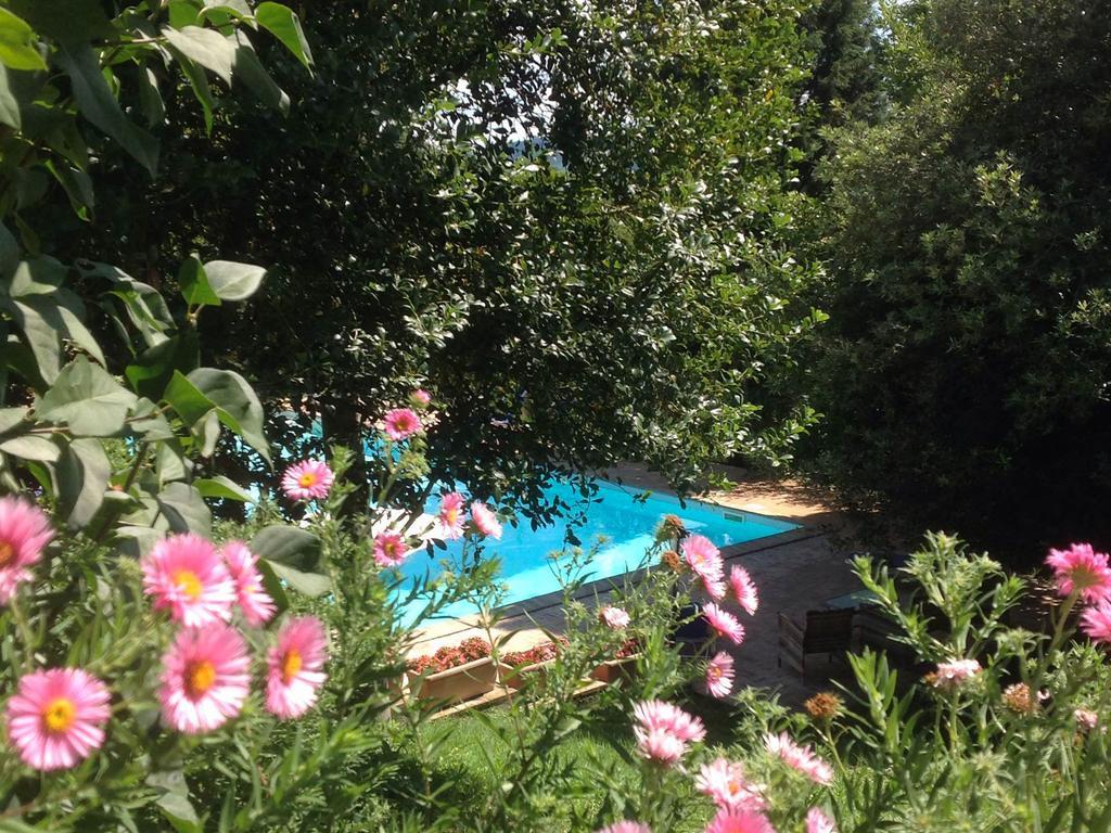 Villa Il Broglino à Todi Chambre photo
